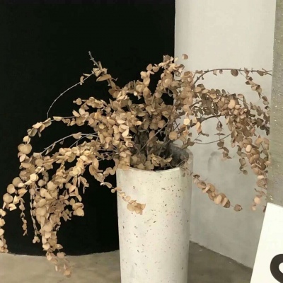 Furry插画细节刻画福瑞交流群